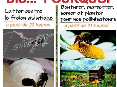 Conférence "Dis...pourquoi"