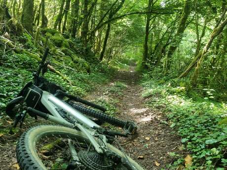 Circuit VTT n°7 (rouge) - Côtes de Villereversure, terres à Comté