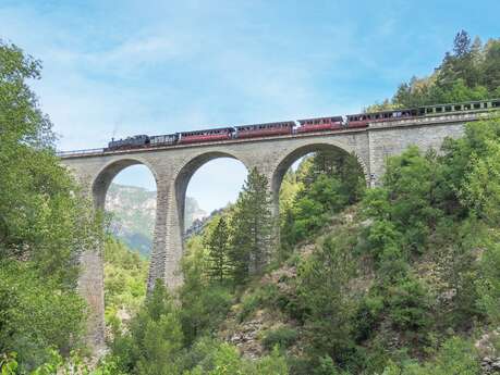 Train des Pignes à vapeur