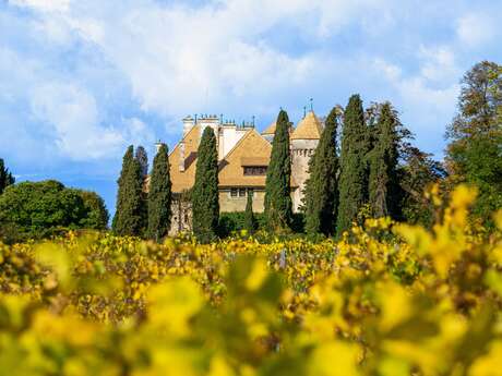 Exposition - Dans l'oeil du photographe