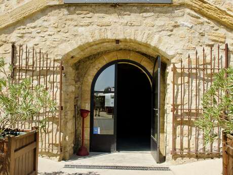 Dégustation de vins à la Vinothèque de Châteauneuf-du-Pape