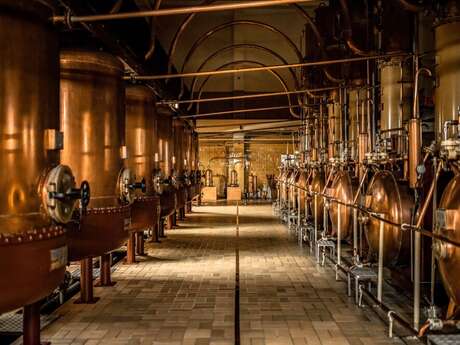 Cointreau distillery (Carré Cointreau)