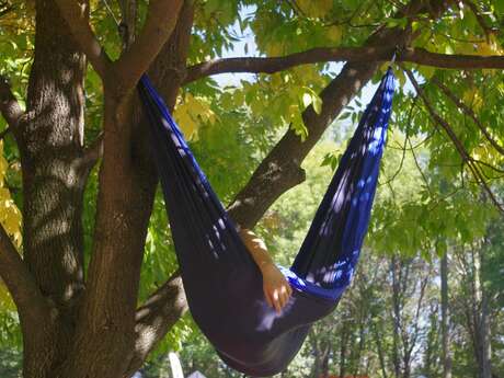Sieste musicale contée - Les RDV Nature du Département