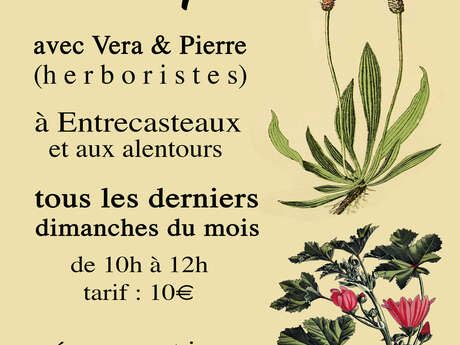 Balade botanique commentée