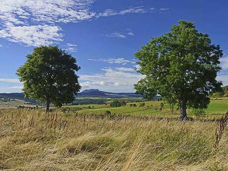 PR031 La Chau de Laroue