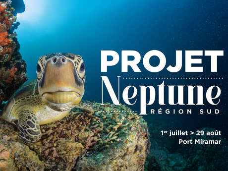 Project Neptune: a Mediterranean underwater odyssey accessible to all
