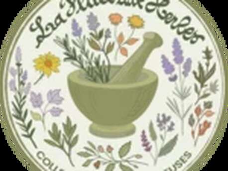 Sortie nature "Sur les pas d'une cueilleuse"