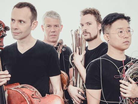 Quatuor Diotima, cordes