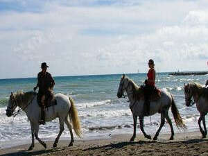 Plage Crin Blanc