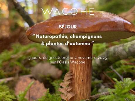 Aufenthalt 'Naturheilkunde, Pilze und Herbstpflanzen' - Wacohe