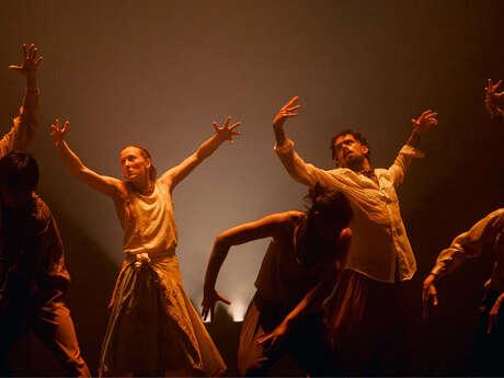 Spectacle • danse : "IN THE BRAIN" - Hofesh Shechter