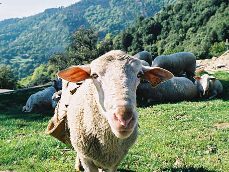 Visite d'une ferme autonome