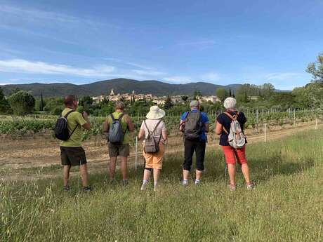 Entre bastide et château, balade au pays de l’huile d’olive à La Bastide du Laval à Cadenet