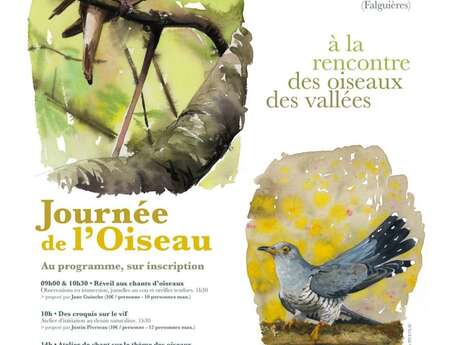 Journée de l'oiseau