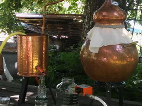 Démonstration : Secret d’hydrolat et distillation