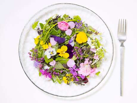 Atelier "Cuisine sauvage"