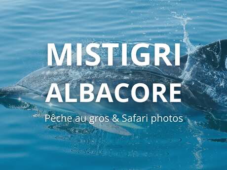Mistigri-Albacore