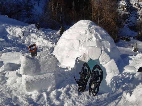 Igloo building with Gil Streichert