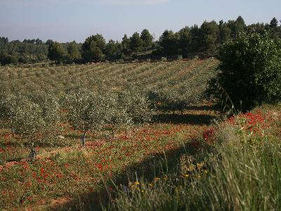 Domaine de Villemus