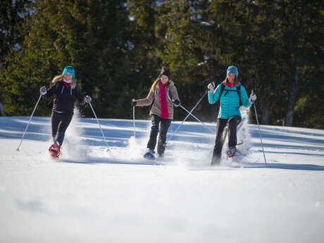 Plateau de Chauvet - Difficile 9km
