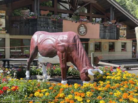 Haus des Käses Abondance