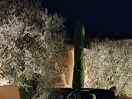 Transfert- VTC - Riviera Chauffeur