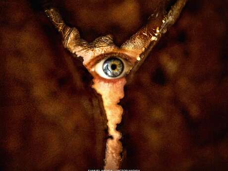 Ciné-J - Retour à Silent Hill