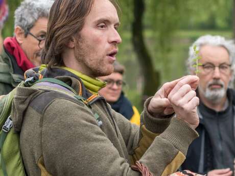 Stage cuisine sauvage, macération et pharmacie familiale en Forêt de Tronçais