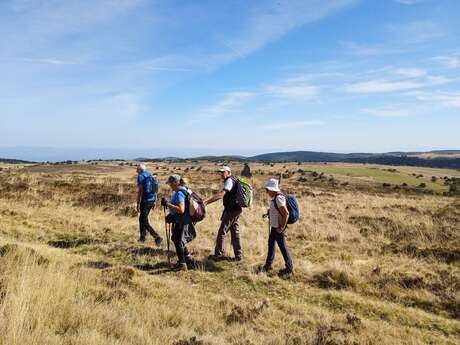 Randonnée terroir forézien