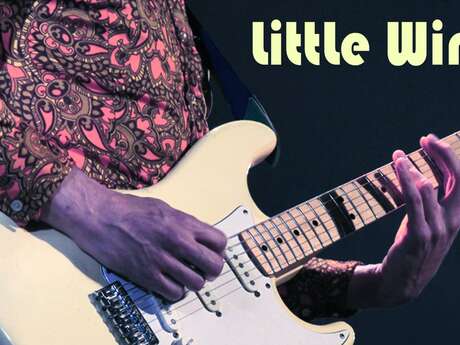 Soirée live music : concert Little Wing
