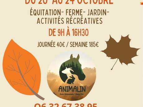 Stage d'automne à Animalin