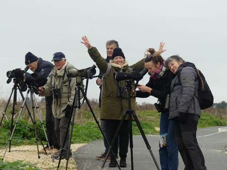 Become an LPO (League for the Protection of Birds) volunteer on the Island of Ré