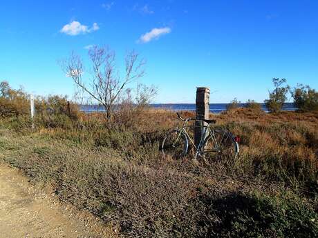 The draille de Méjanes by mountain bike