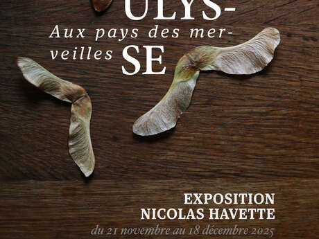 Ulysse aux pays des merveilles