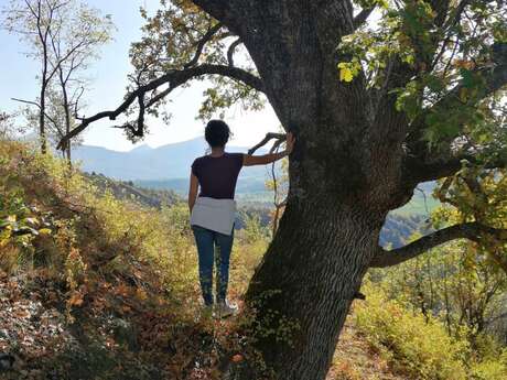 Bain de forêt - Les Ateliers d'Evyoute