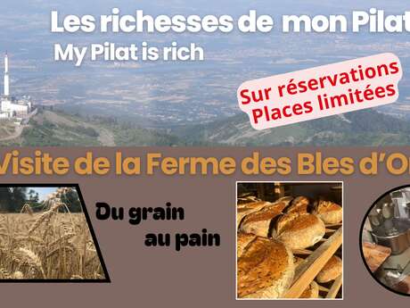 Visite de la Ferme des Bles d'Or Visite de la Ferme des Bles d'Or