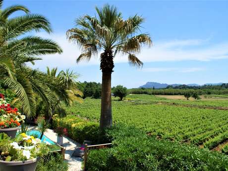 Villa les Lodges - Orchidées