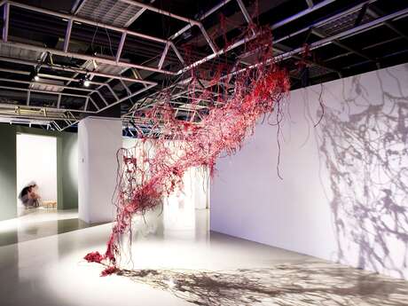 Espace entrée libre - Atelier Régine De Bastiani