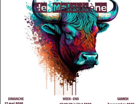 Fête Taurine de Malaucène