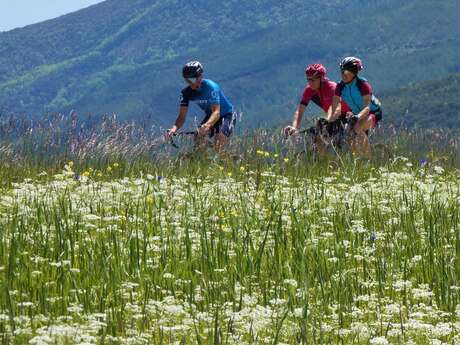 Escapade vélo ou VTT 100% liberté