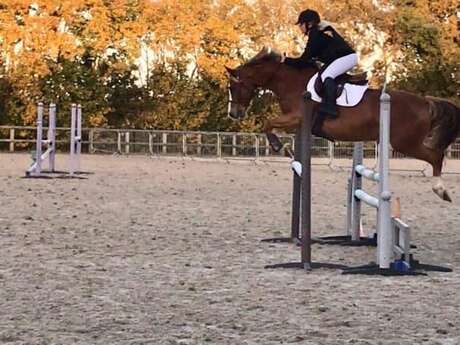 Riding lessons (shetland, pony, horse) at the Ecuries de Loix