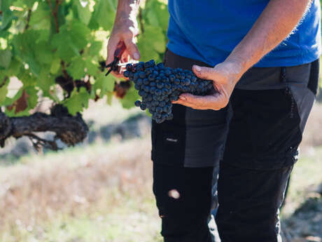 Domaine de la Blaque