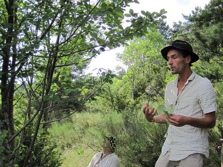 Sortie ethnobotanique à Salagon