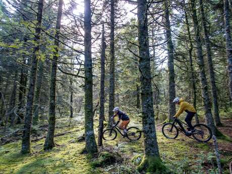 N°113 - La crête de granit - Espace VTT Montbrison-Monts du Forez