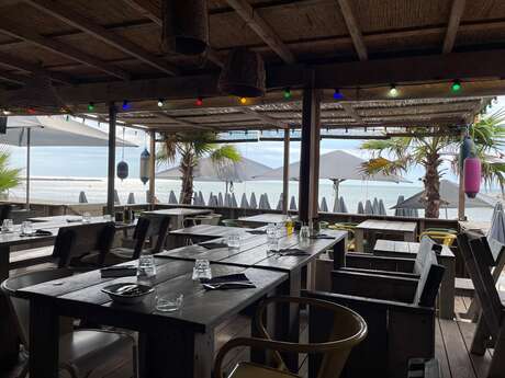 La Playa en Camargue