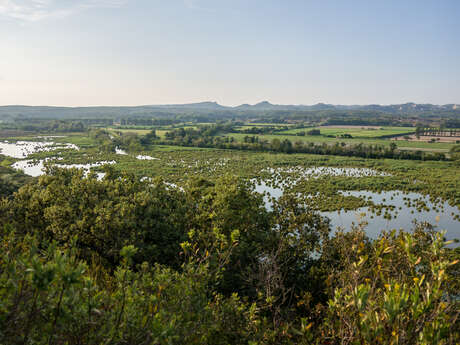 Nature walk: The Ilon Regional Nature Reserve