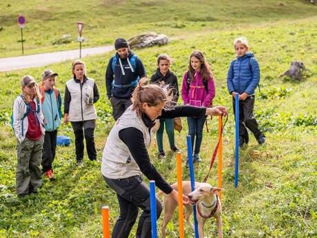 Mini-Musher Experience