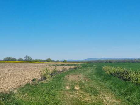 Circuit Gravel n°14 (rouge) - Hauts de la vallée de la Reyssouze