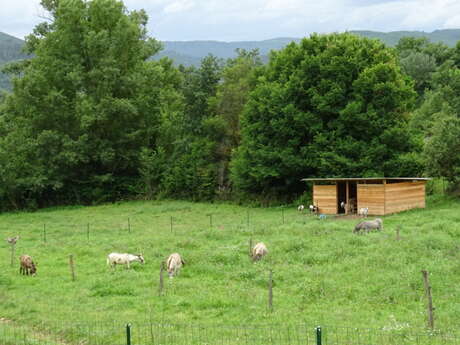 A la Ferme de Titou