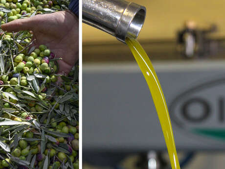 Terres de Bonaventure